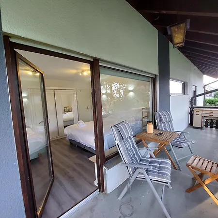 Cozy Near The Rhine *